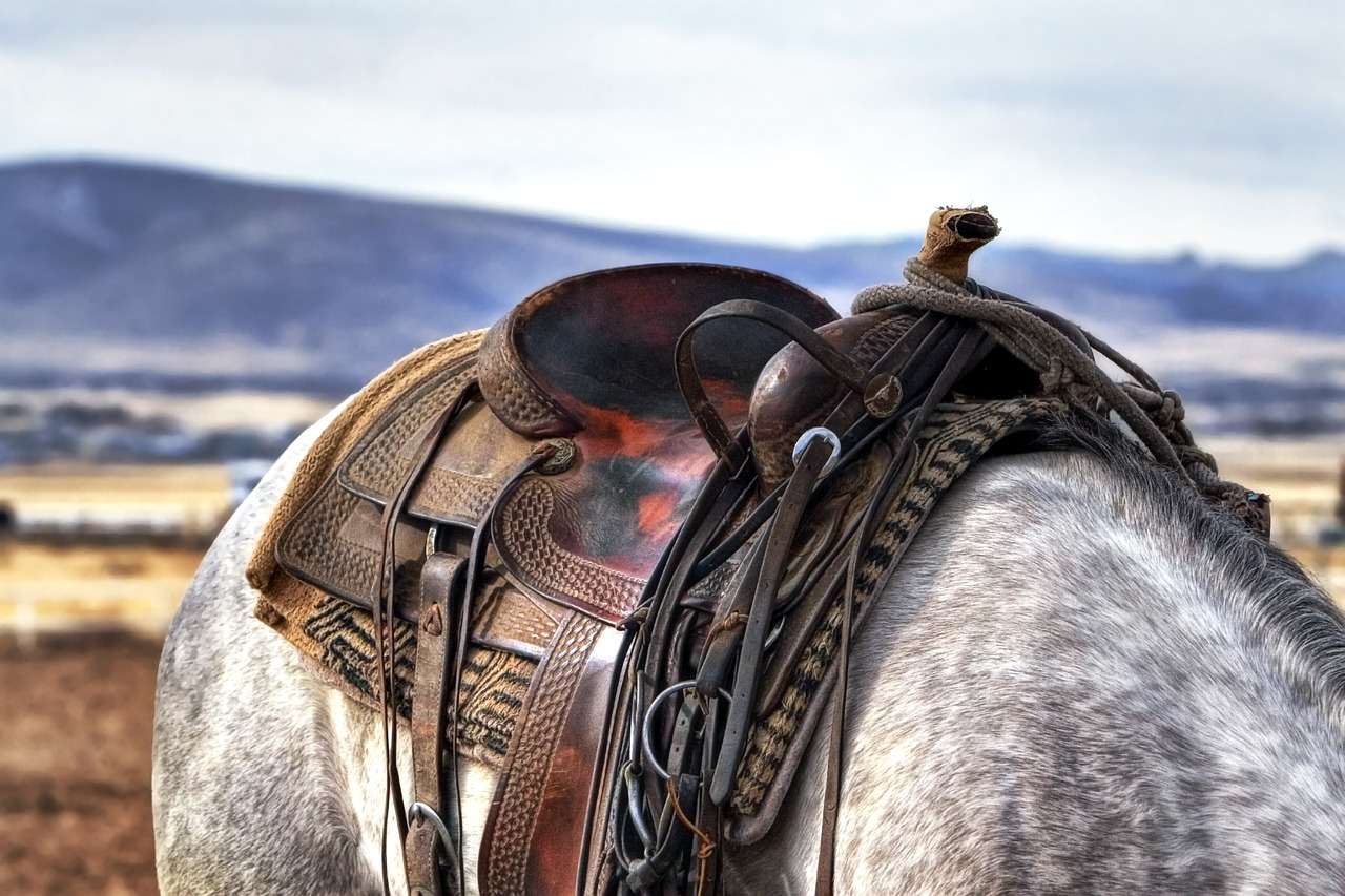 cowboy boots