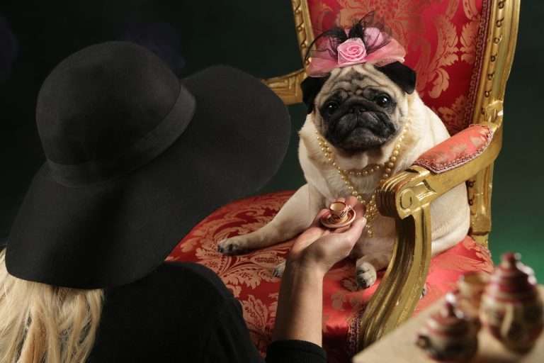 costume festivalul toamnei