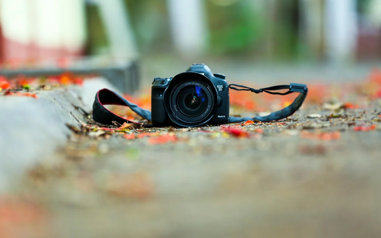 in cat timp se vindeca keratita