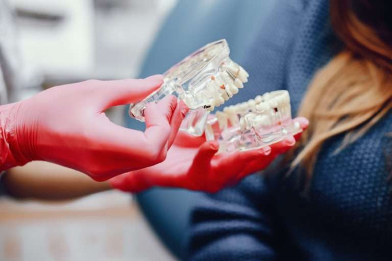 artificial jaw dentist s office (1)
